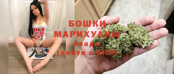 apvp Костерёво