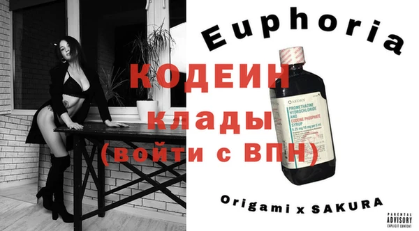 apvp Костерёво