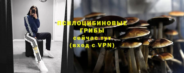 apvp Костерёво