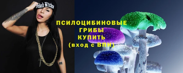 метадон Краснослободск