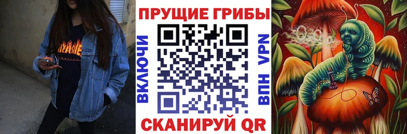 магазин    Джанкой  Галлюциногенные грибы Magic Shrooms 