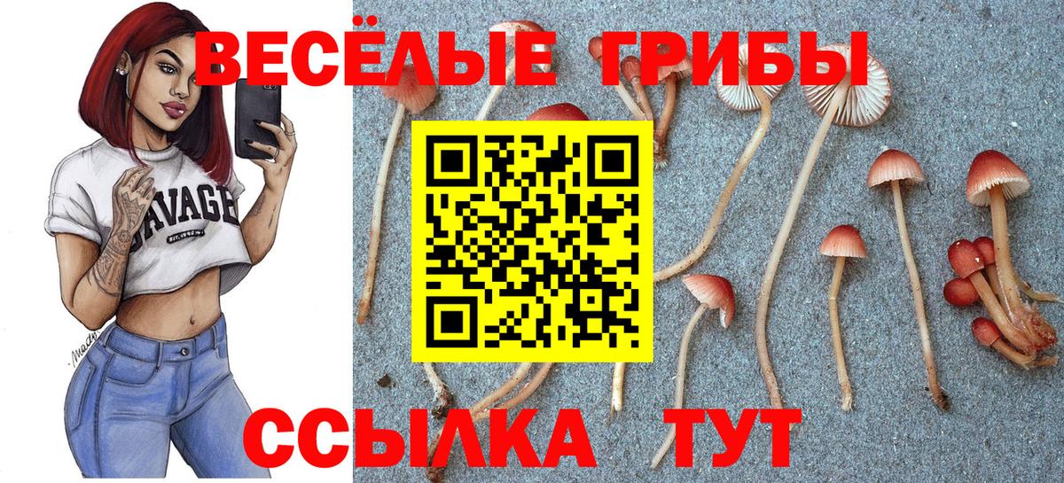 Галлюциногенные грибы мицелий Джанкой