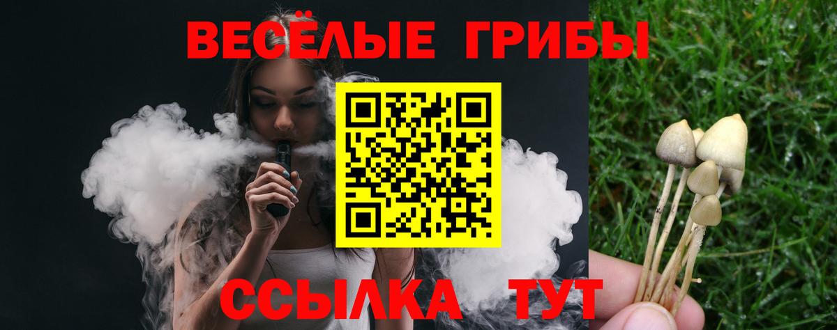 Псилоцибиновые грибы Psilocybe  купить   Джанкой 